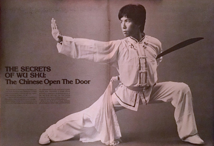 Jet Li vs Donnie Yen Wushu vs Wing Chun