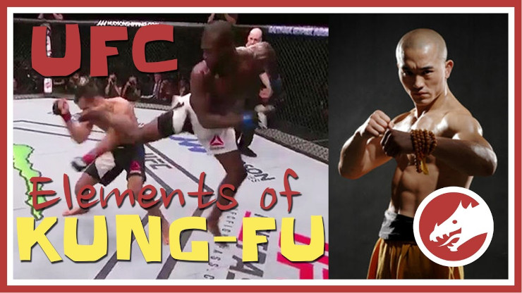 Kung Fu in UFC