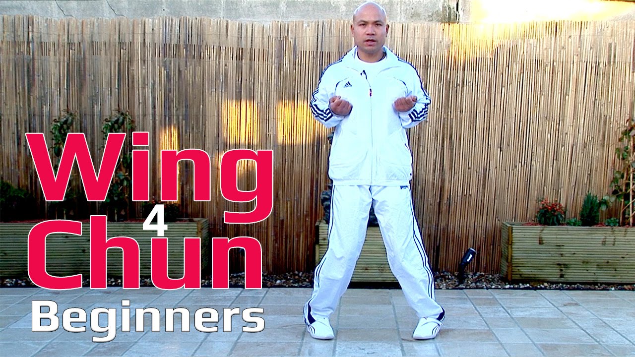 Master Wong: Wing Chun for Beginners