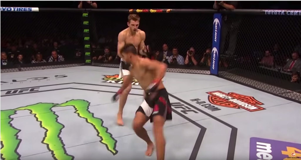 Kung Fu in UFC fights