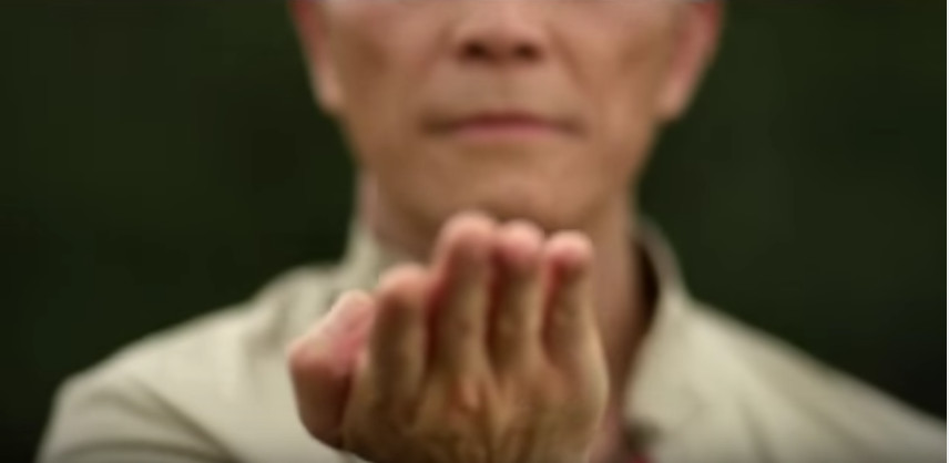 "Wing Chun" - a documentary