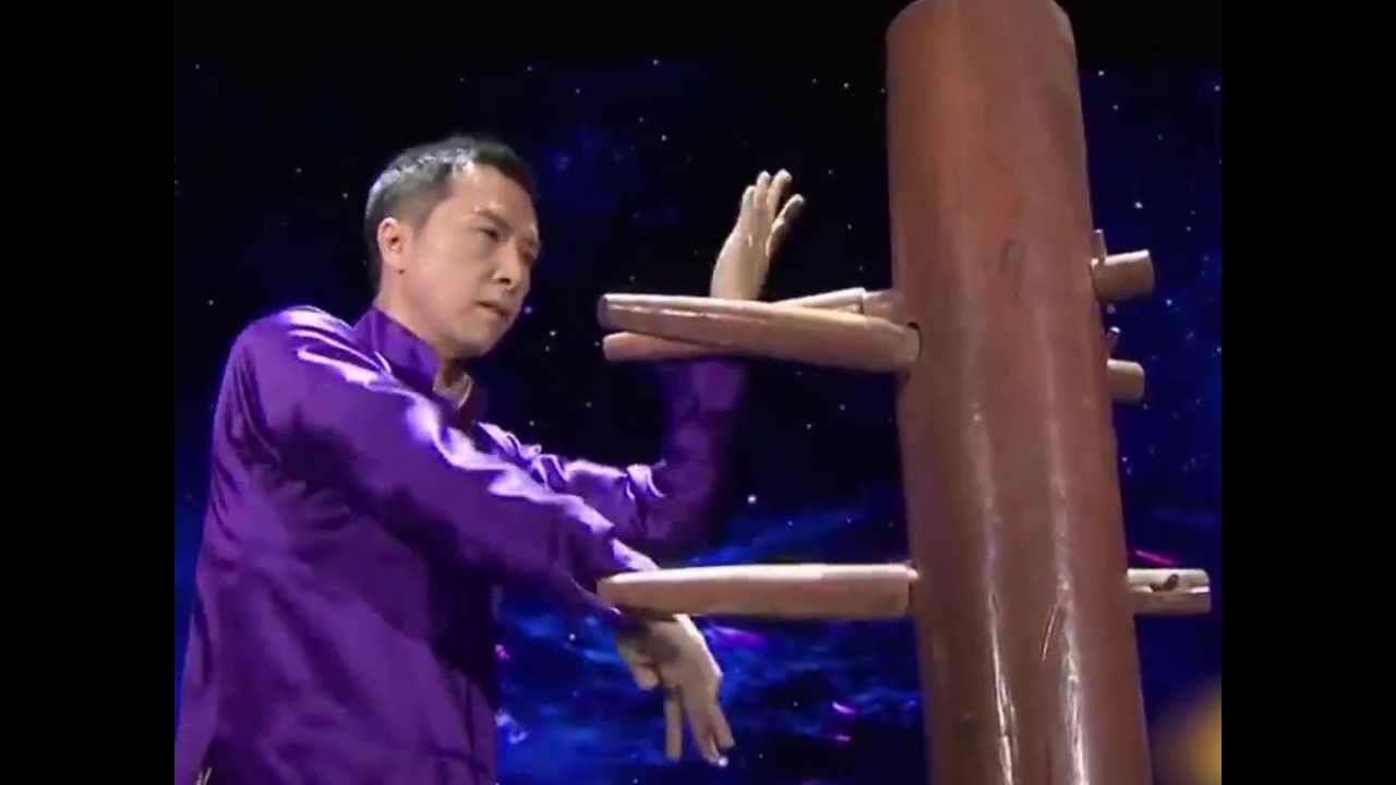 donnie yen in chinese martial arts demonstration
