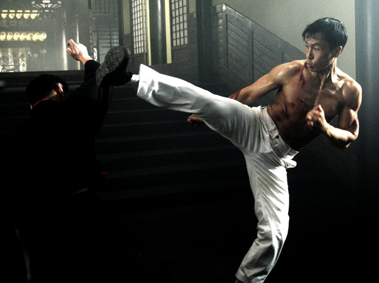 Donnie Yen martial arts