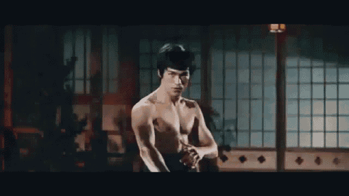 Bruce lee martial artist