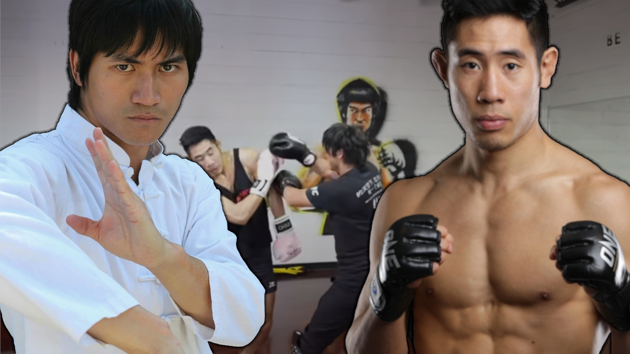 Wing Chun Vs Pro MMA Fighter