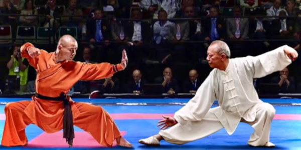 Shaolin Kung Fu vs Tai Chi