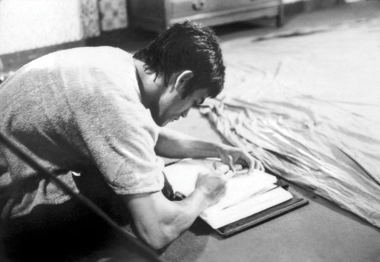 Bruce Lee wanted to study medicine