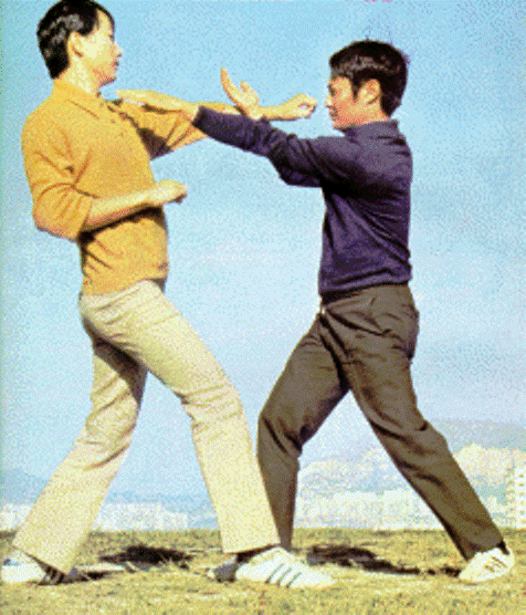 Wong Shun Leung Advanced Wing Chun Techniques: Biu Jee