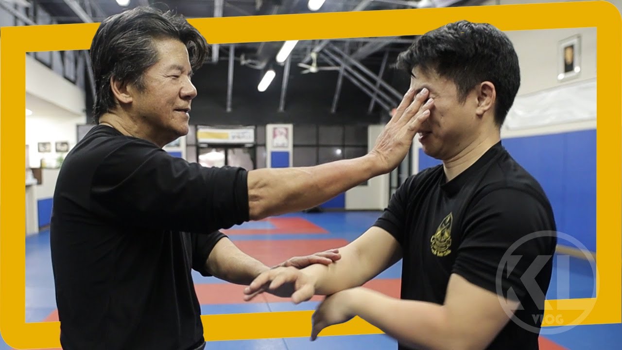 Discover the Mind-Blowing Wing Chun Techniques of Sifu Francis Fong